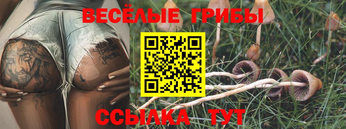 Псилоцибиновые грибы ЛСД Чехов