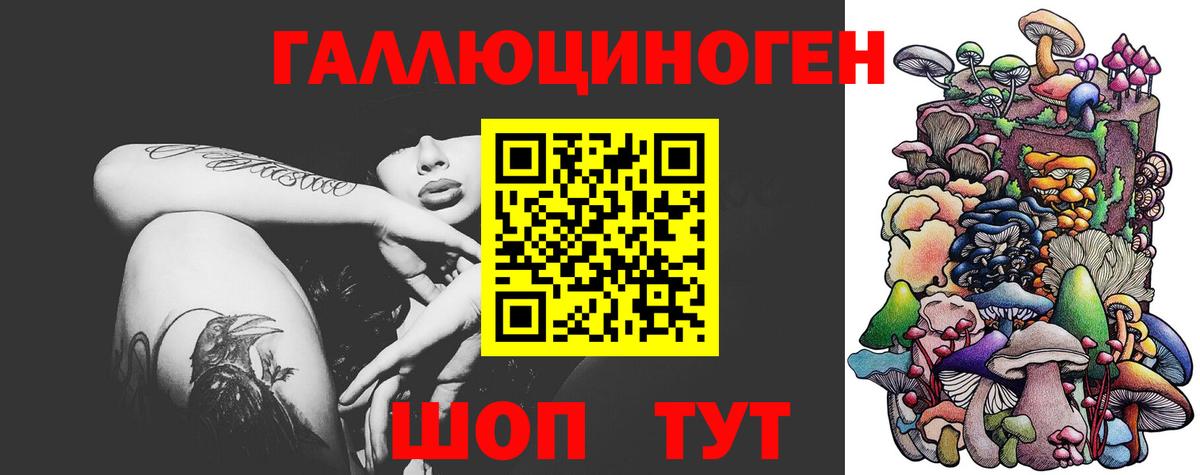 Псилоцибиновые грибы Psilocybe  Вход с VPN  Чехов 